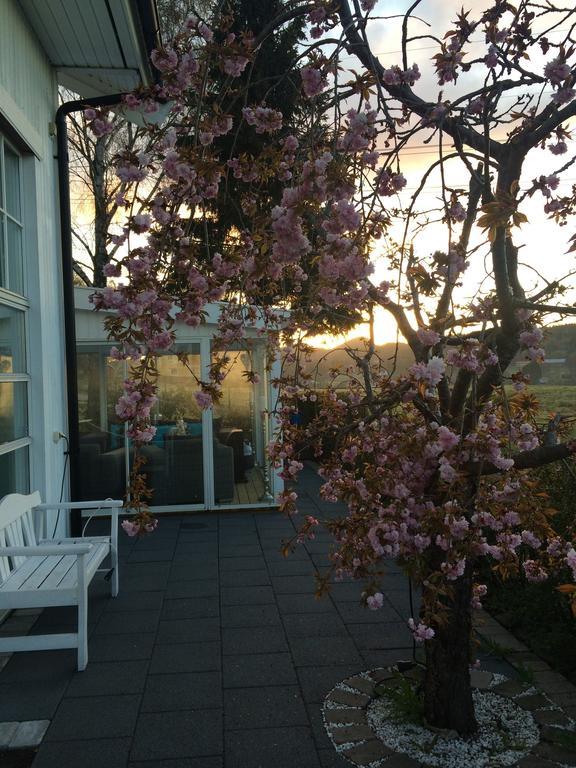 Cafe Torpet B&B Skepplanda Екстер'єр фото